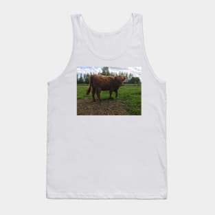 Scottish Highland Cattle Calf 2026 Tank Top